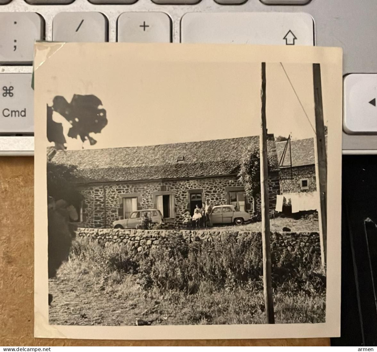 REAL PHOTO  LIEU  Les Ternes Cantal (15) Voitures Automobiles - Lieux