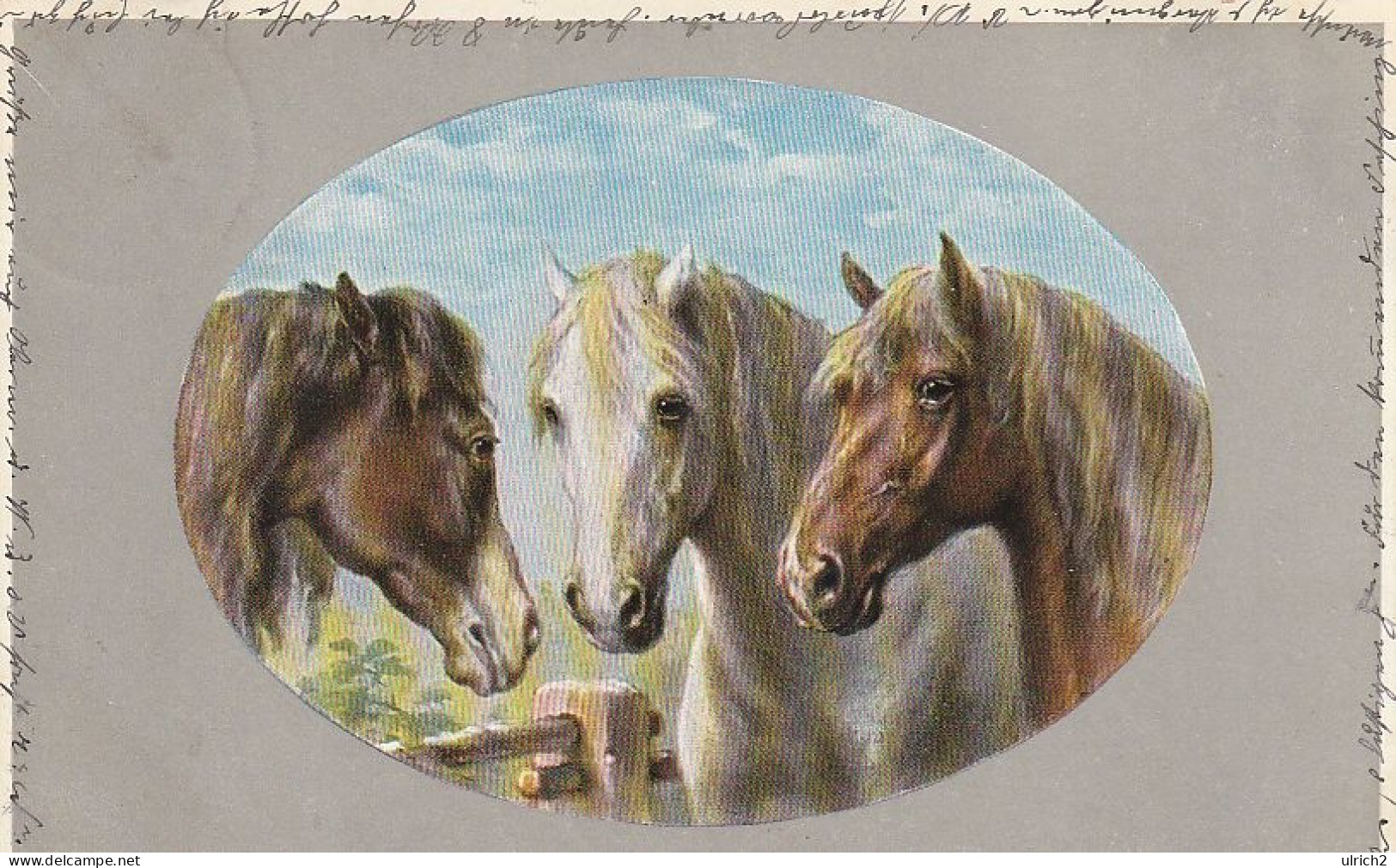 AK 3 Pferde - Künstlerkarte - München 1905  (69479) - Horses