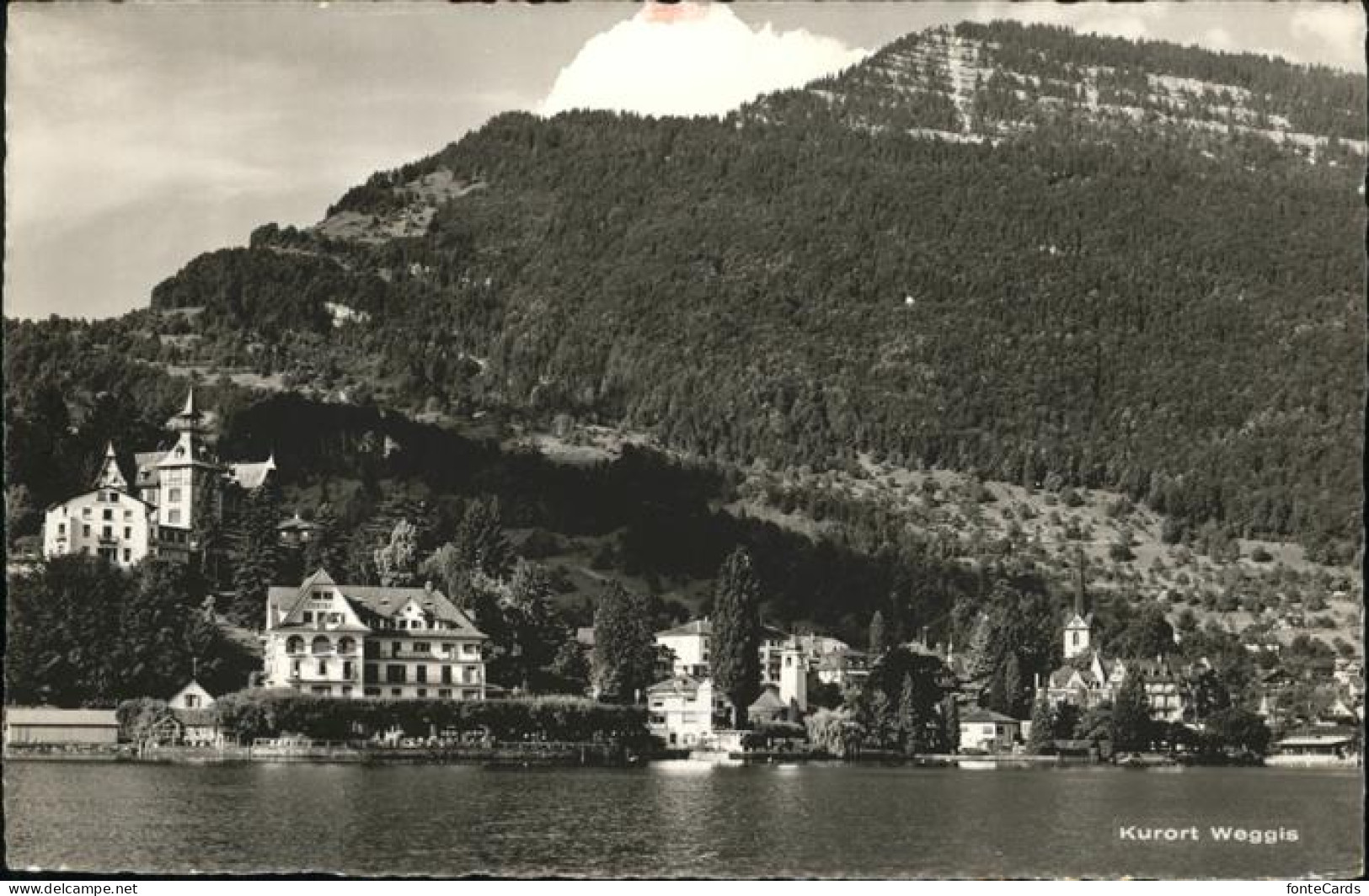 11113437 Weggis_Vierwaldstaettersee Rigi Vierwaldstaettersee - Autres & Non Classés