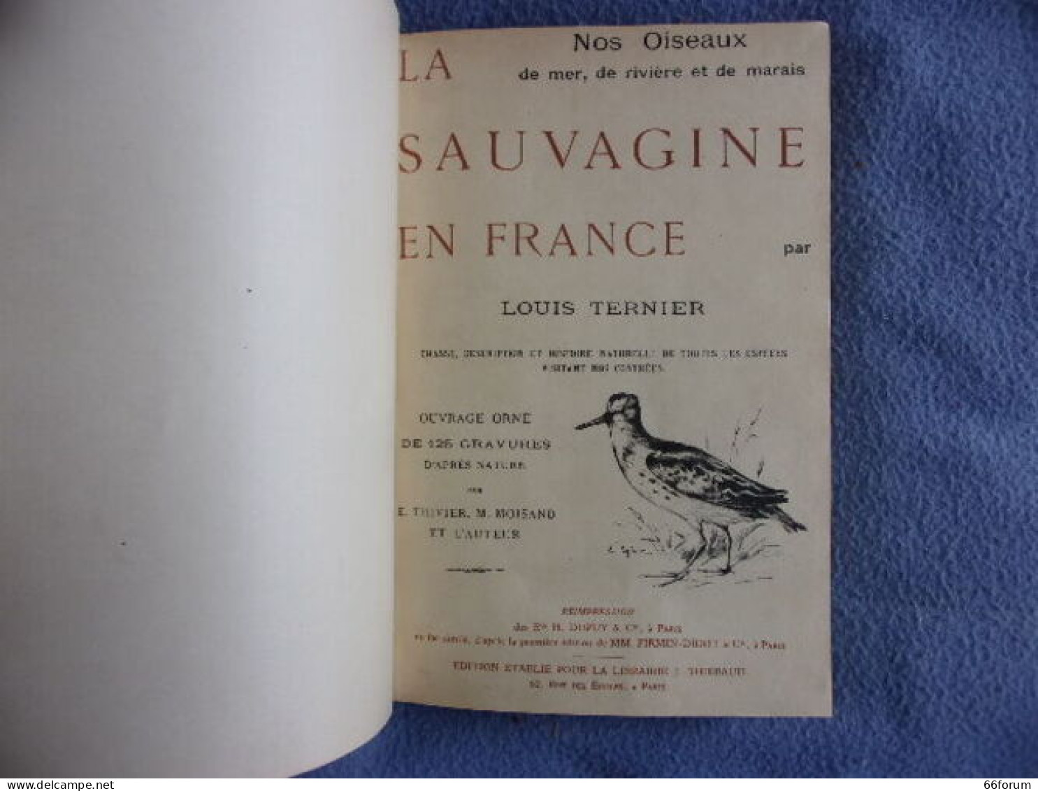 La Sauvagine En France Nos Oiseaux De Mer De Riviere De Marais - Chasse/Pêche