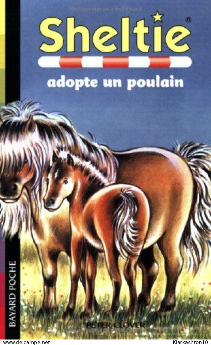 Sheltie Tome 22 : Sheltie Adopte Un Poulain - Andere & Zonder Classificatie