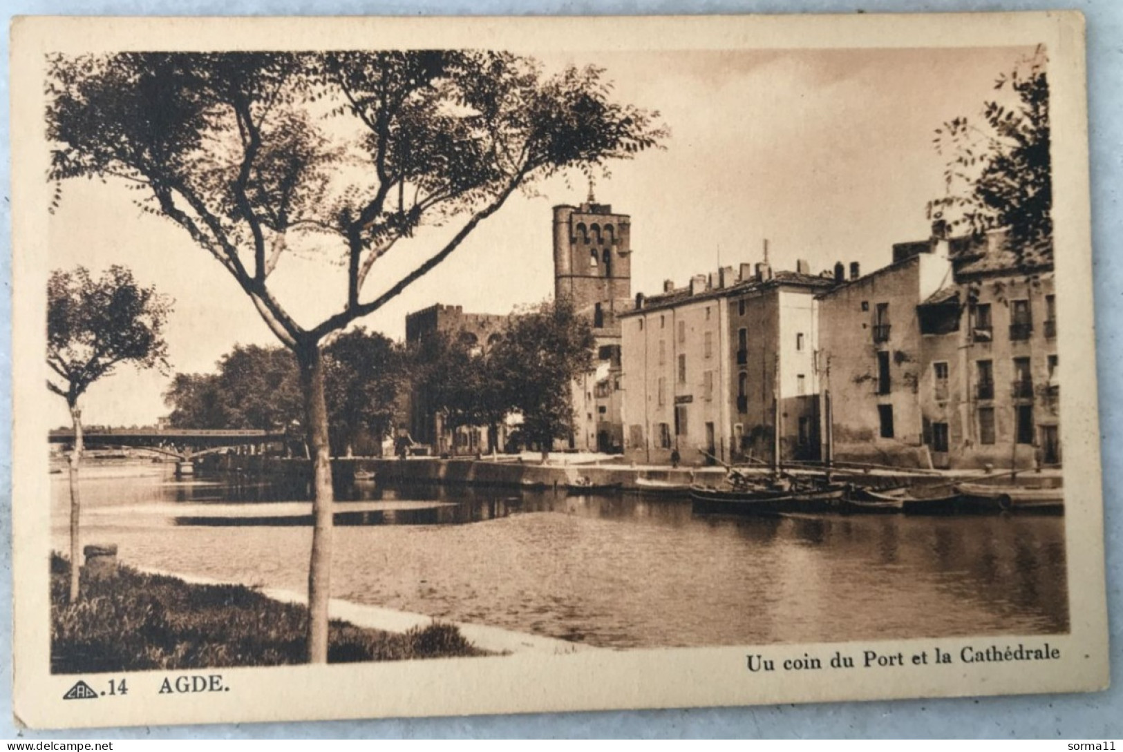 CPA AGDE 34 Un Coin Du Port Et La Cathédrale - Agde