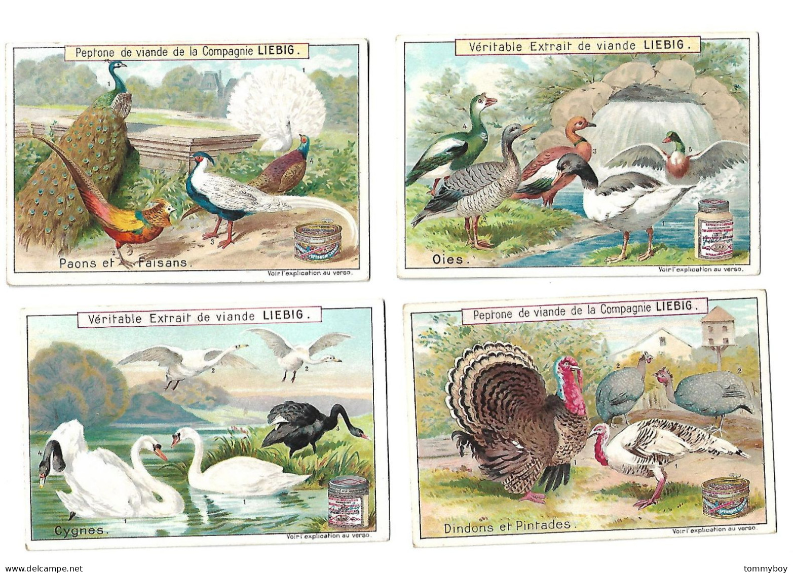 S 607, Liebig 6 Cards, Oiseaux De Basse-cour (one Card Has Small Damage At The Corners) (ref B14) - Liebig