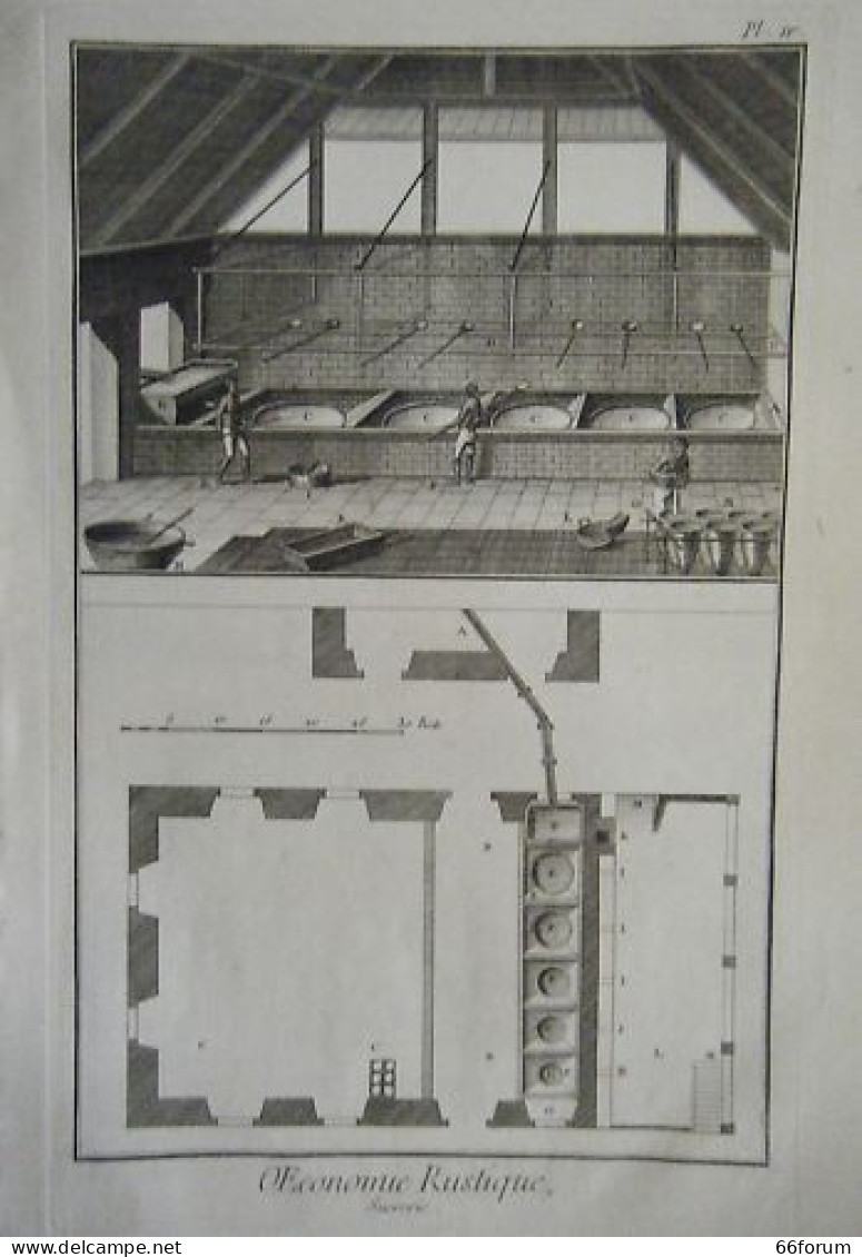 GRAVURE 18ème D' EPOQUE SUCRERIE ECONOMIE RUSTIQUE - Other & Unclassified