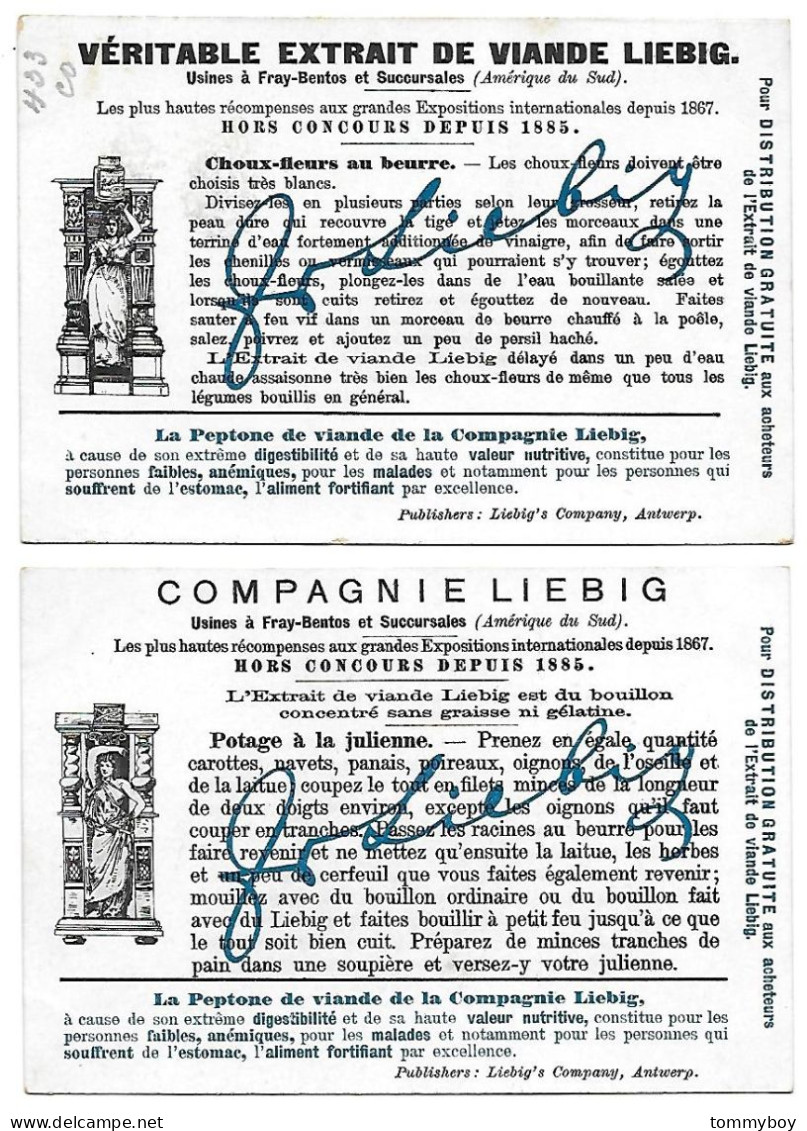 S 600, Liebig 6 Cards, Ponts Remarquables (ref B13) - Liebig