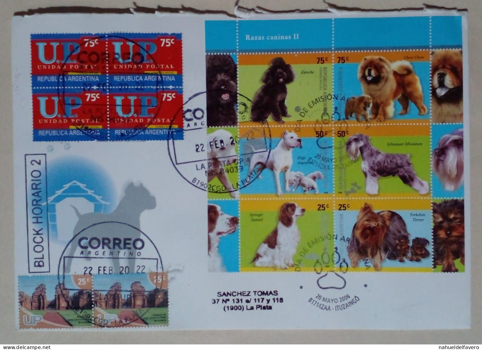 Argentine - Enveloppe Circulée Avec Timbres Thématiques Races De Chiens (2021) - Chiens