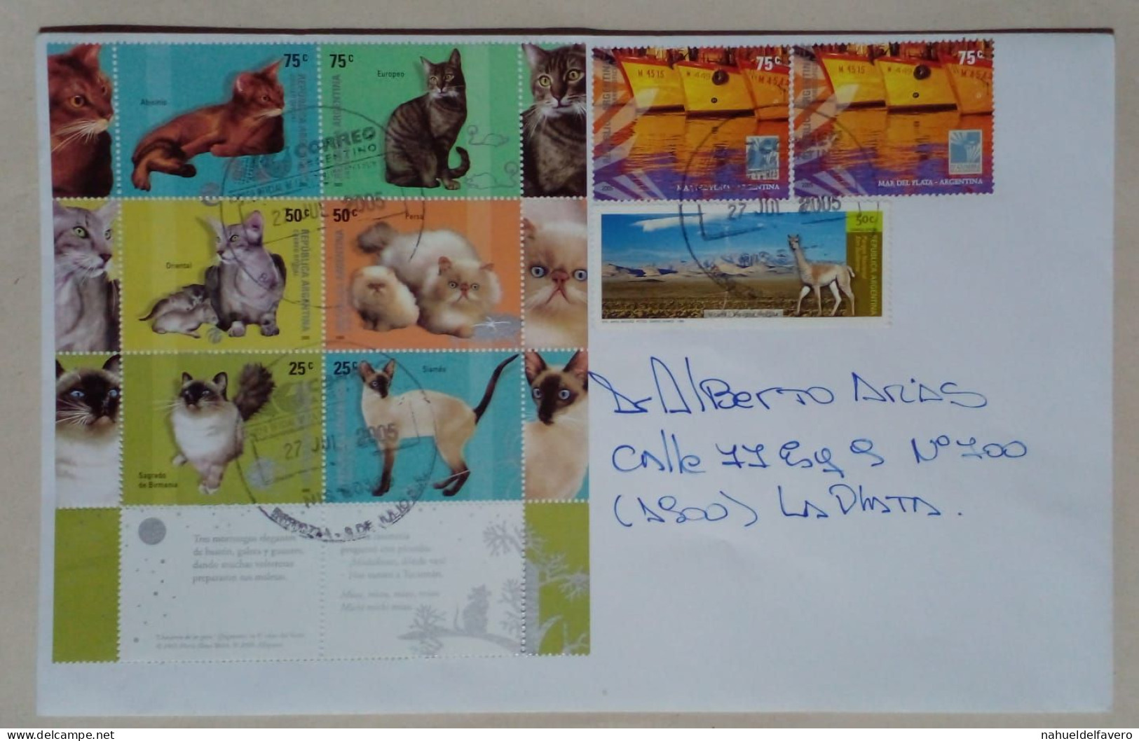 Argentine - Enveloppe Diffusée Sur Le Thème Des Chats (2005) - Chats Domestiques