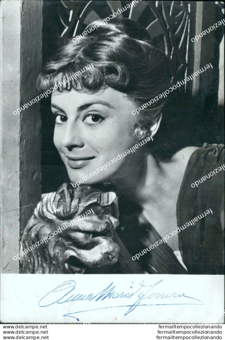 Bn642 Autografo Originale Di Annamaria Ferrero Attrice Actress Film Movie - Other & Unclassified