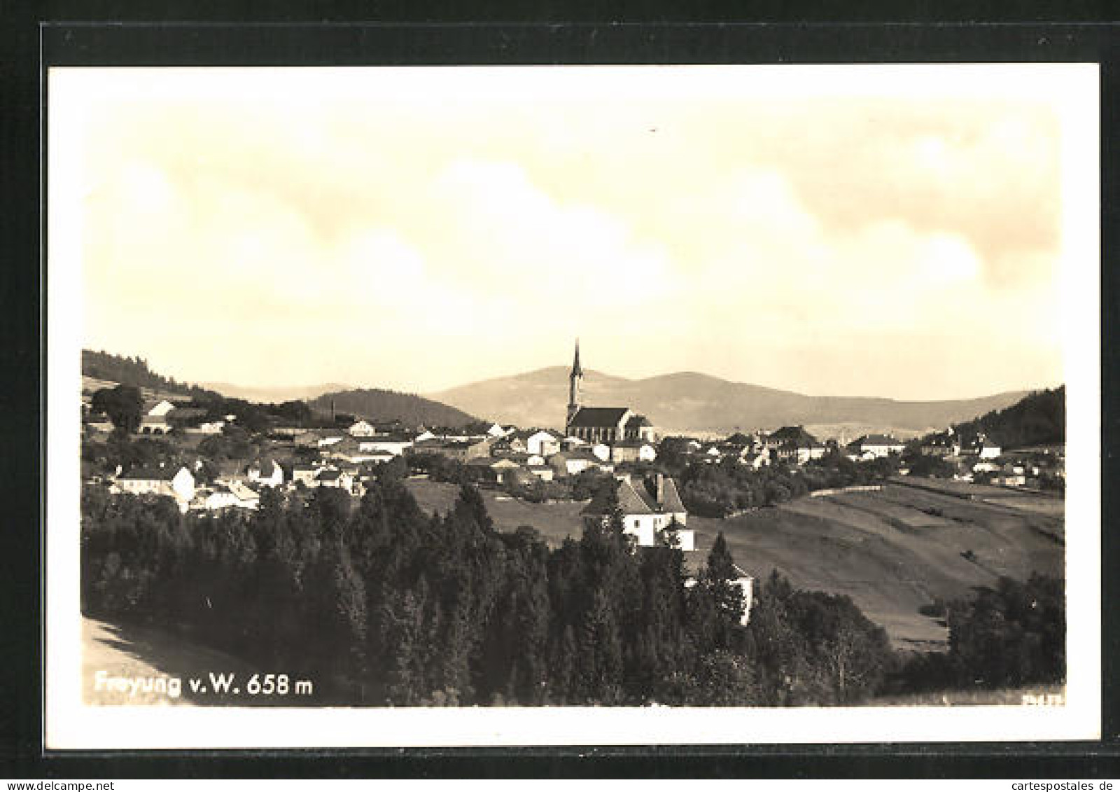 AK Freyung V. W., Teilansicht Mit Kirche  - Freyung