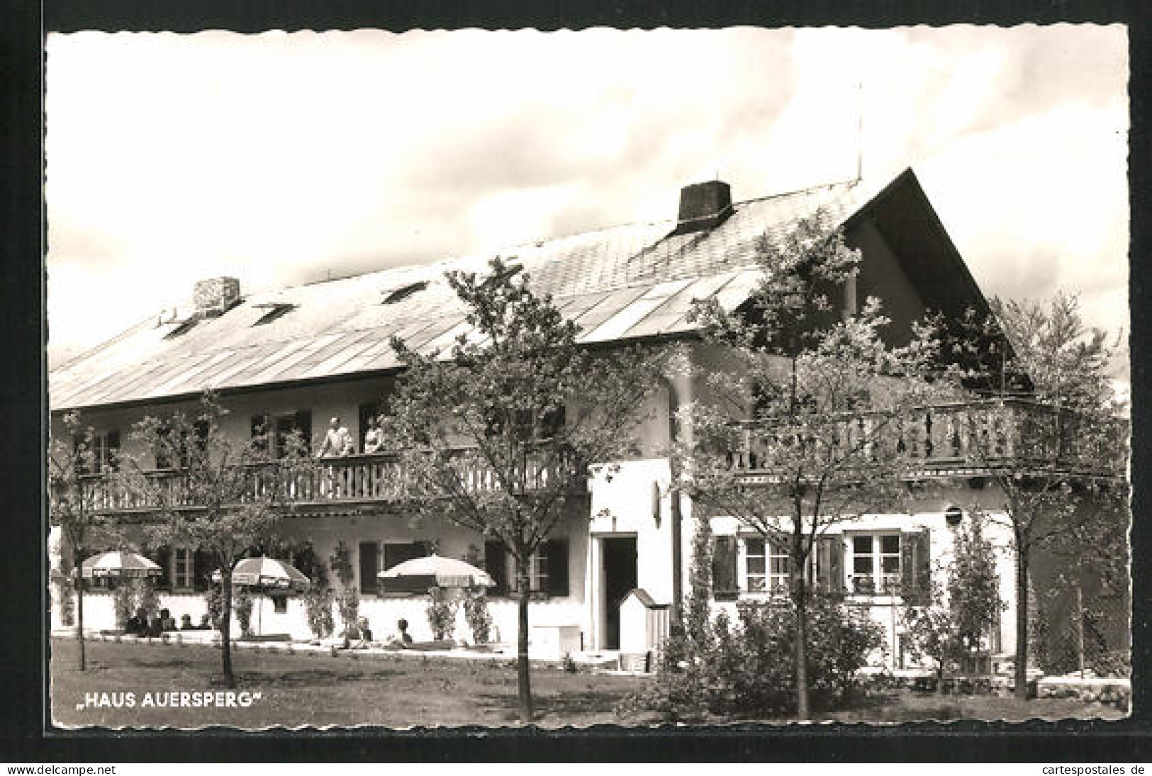 AK Haidmühle /Bay. Wald, Hotel Haus Auersperg  - Autres & Non Classés