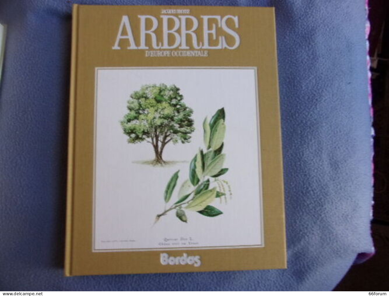 Arbres D'Europe Occidentale - Sciences