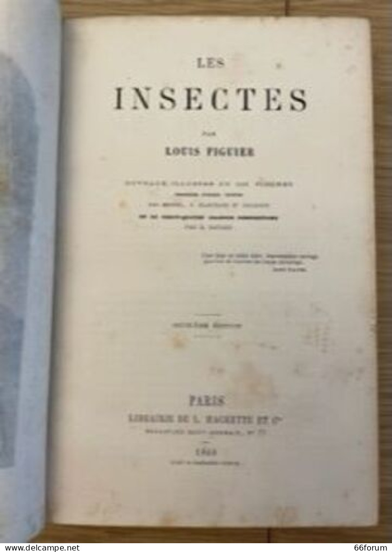 La Vie Et Les Mœurs Des Animaux. Les Insectes - Sciences