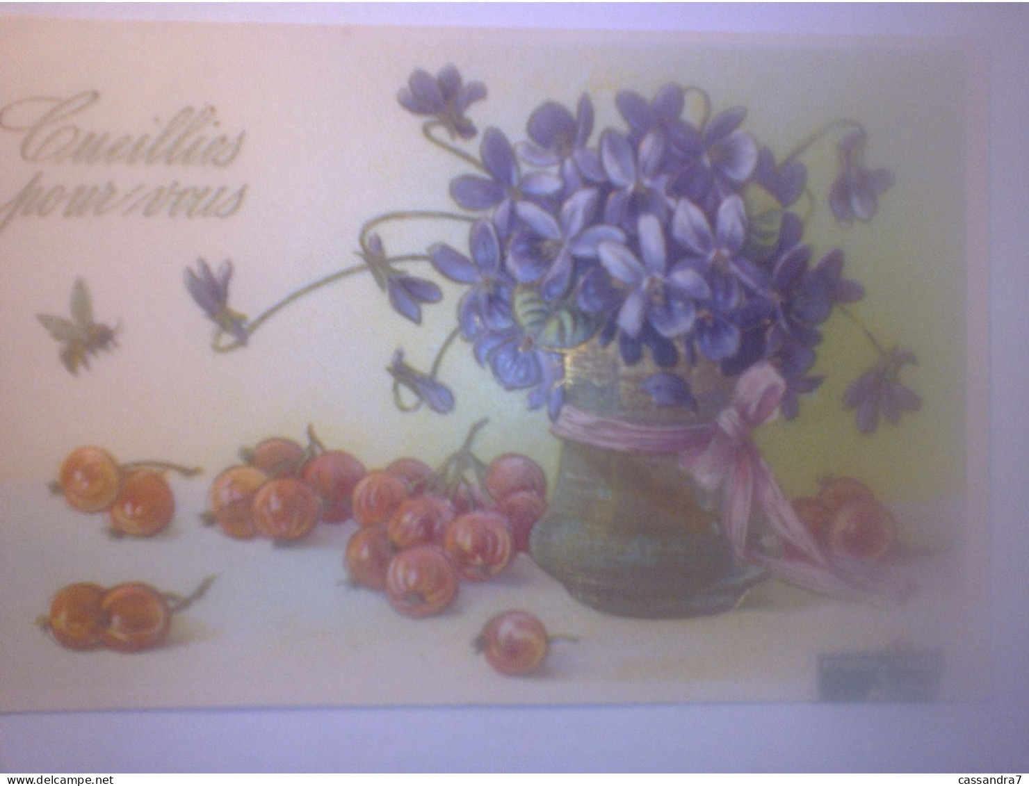 Superbe & Rare CPA Gaufrée - Violettes - Groseilles - Cueillies Pour Vous ! Pot Ruban - SER. 642 - Other & Unclassified