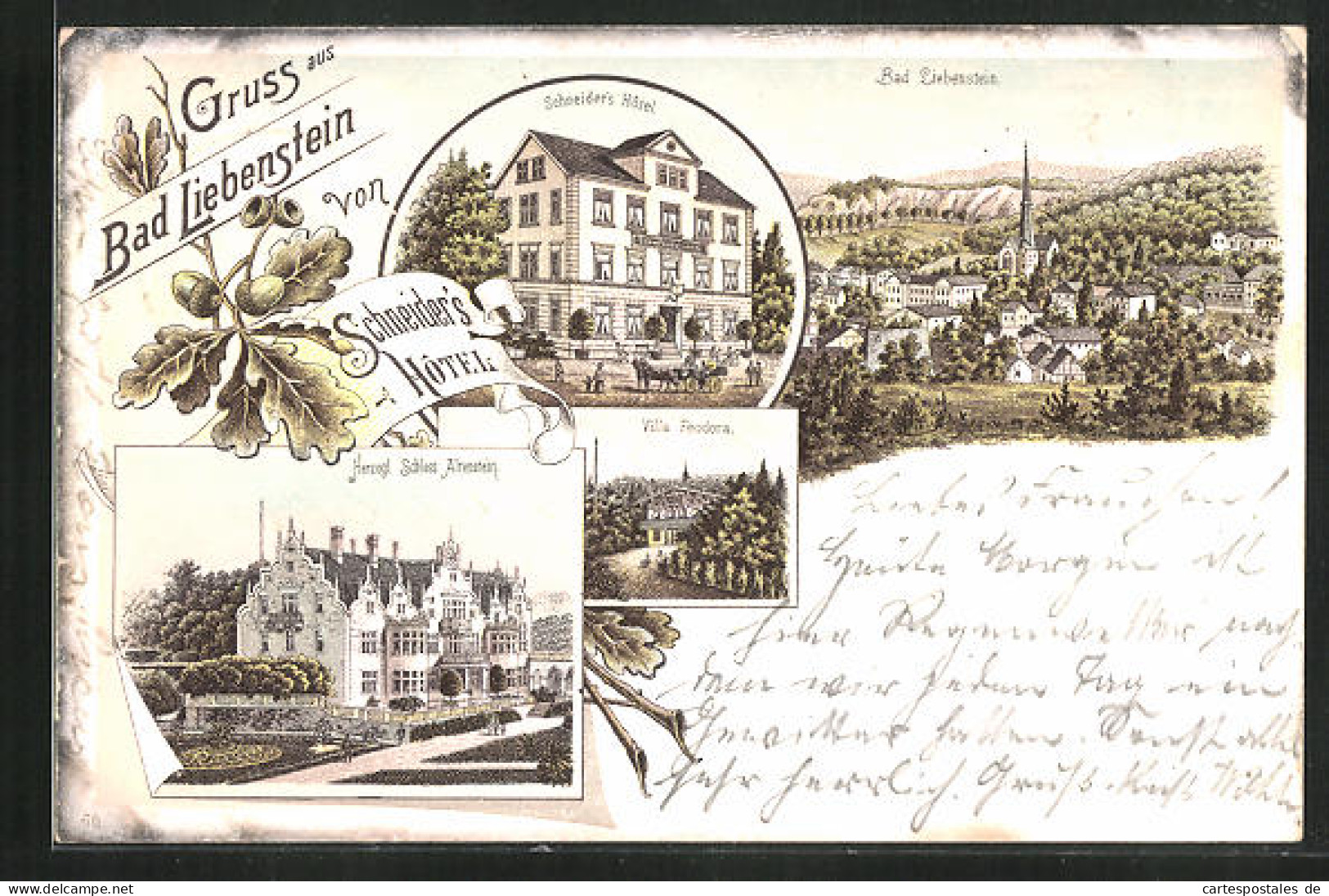 Lithographie Bad Liebenstein, Hotel Schneider, Herzogl. Schloss Altenstein, Villa Feodora, Gesamtansicht  - Bad Liebenstein