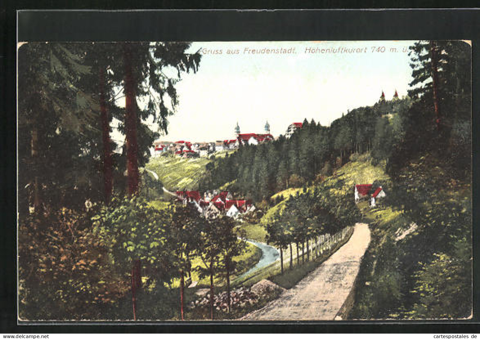 AK Freudenstadt, Totalansicht Aus Der Ferne  - Freudenstadt