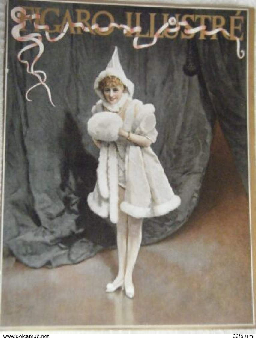 PLANCHE NOVEMBRE 1894 APRES TABLEAU DE LUCIUS ROSSI FEMME EN FOURRURE SUR SCENE - Sonstige & Ohne Zuordnung