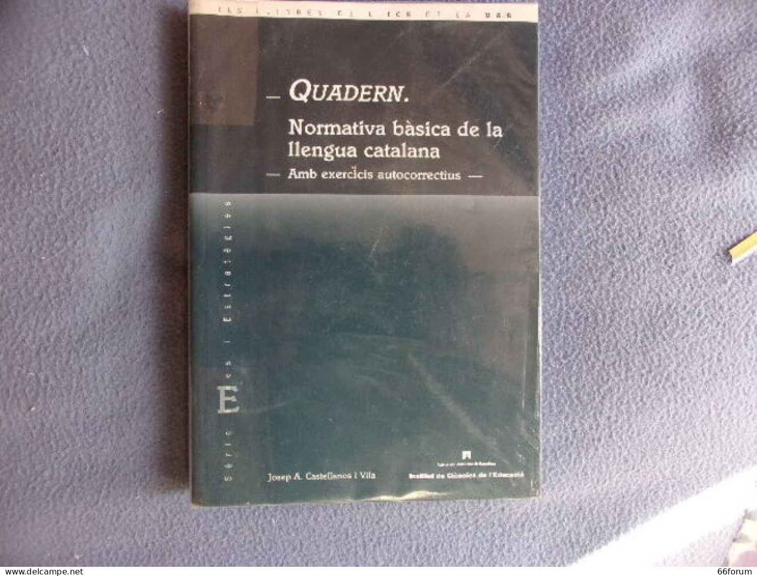 Quadern. Normativa Basica De La Llenga Catalana - Dictionaries