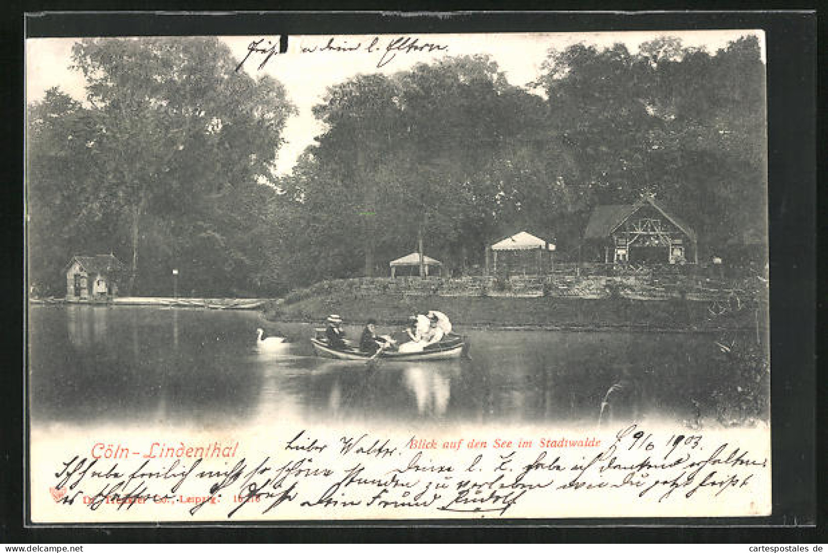 AK Cöln-Lindenthal, Blick Auf Den See Im Stadtwald  - Koeln