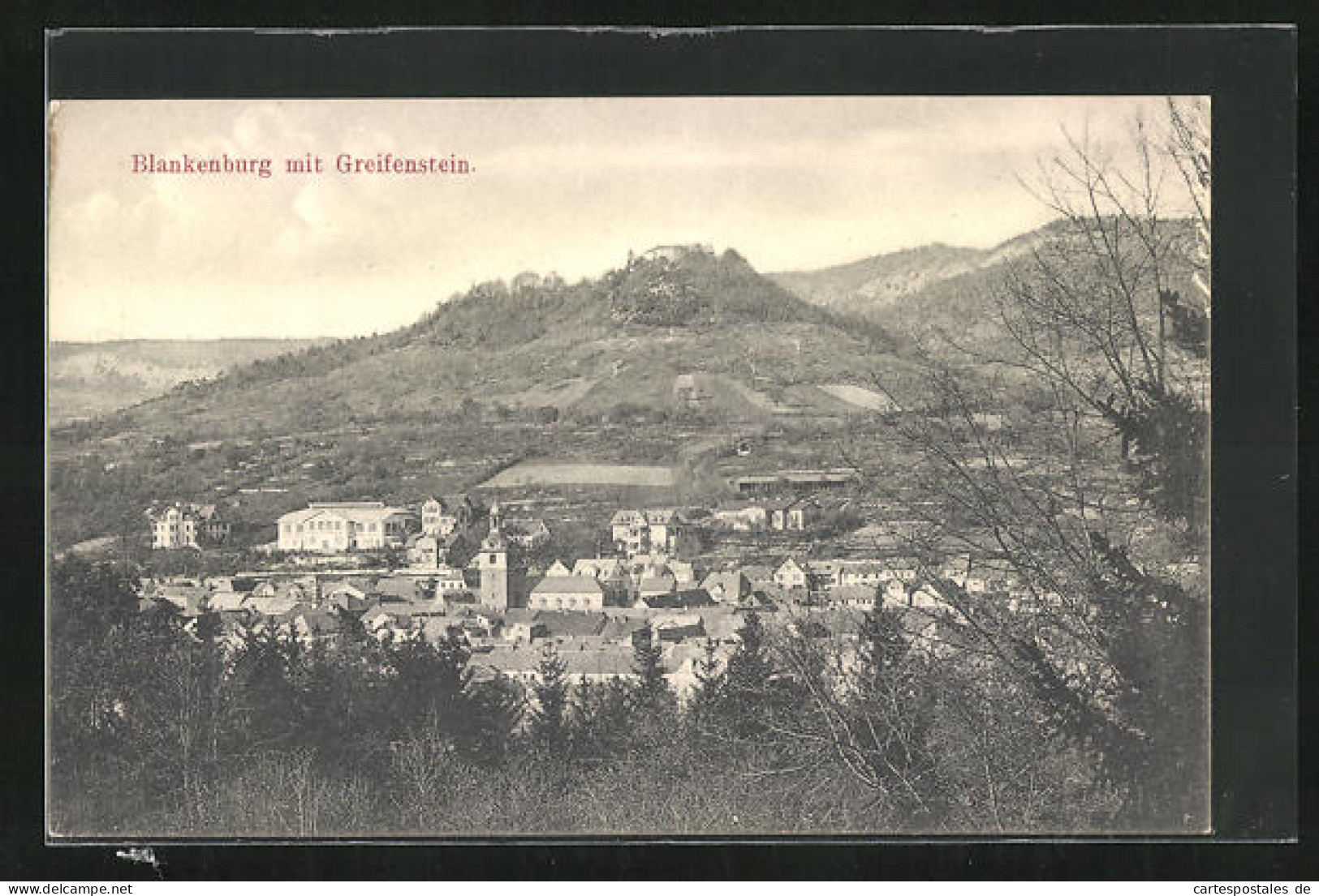 AK Blankenburg, Ortsansicht Mit Greifenstein  - Bad Blankenburg