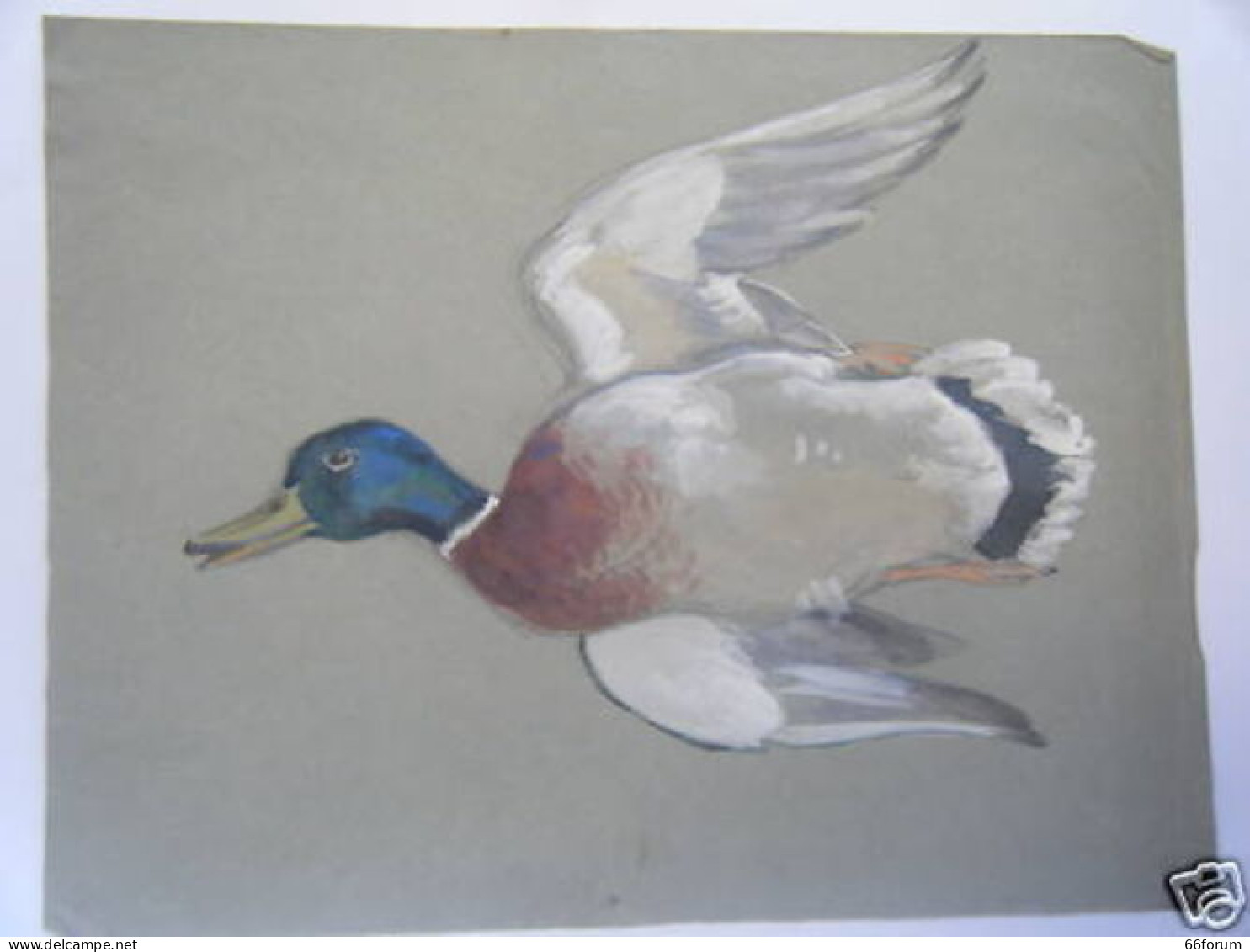 AQUARELLE DE A.L. ANDRIEUX 20ème CANARD - Andere & Zonder Classificatie