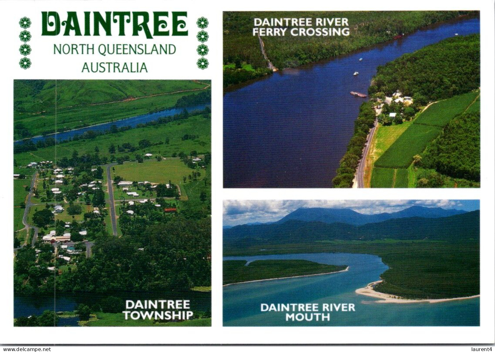 19-5-2024 (5 Z 31) Australia - QLD - Daintree Rainforest - Far North Queensland