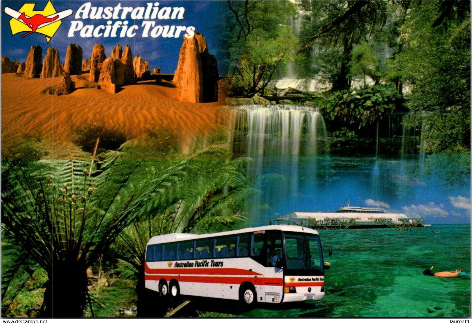 19-5-2024 (5 Z 31) Australia - Pacific Tours (bus) 2 Postcards - Bus & Autocars