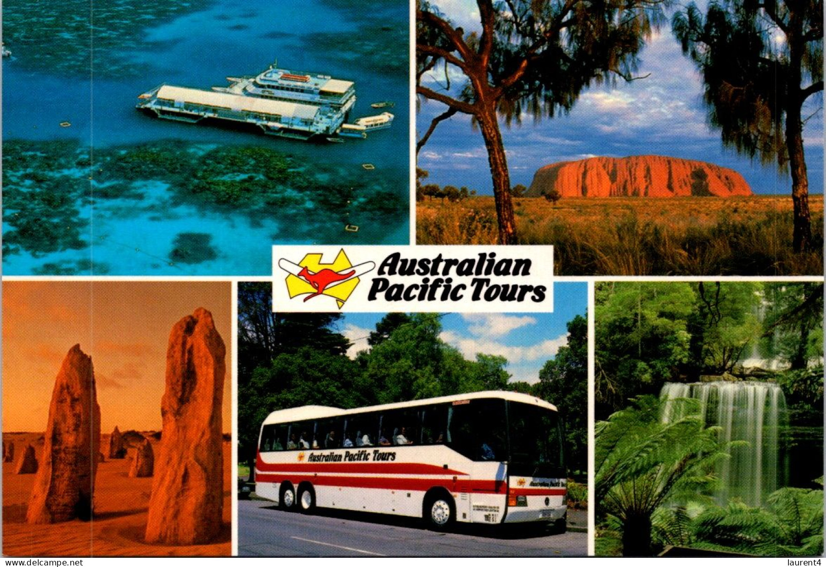 19-5-2024 (5 Z 31) Australia - Pacific Tours (bus) 2 Postcards - Buses & Coaches