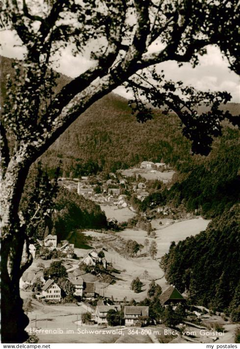 73947072 Bad_Herrenalb Panorama Blick Vom Gaistal Schwarzwald - Bad Herrenalb