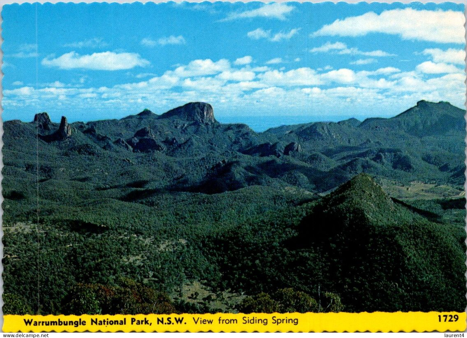 19-5-2024 (5 Z 31) Australia - NSW - Warrumbungle Natioanl Park (& Observatory) 2 Postcards - Bäume
