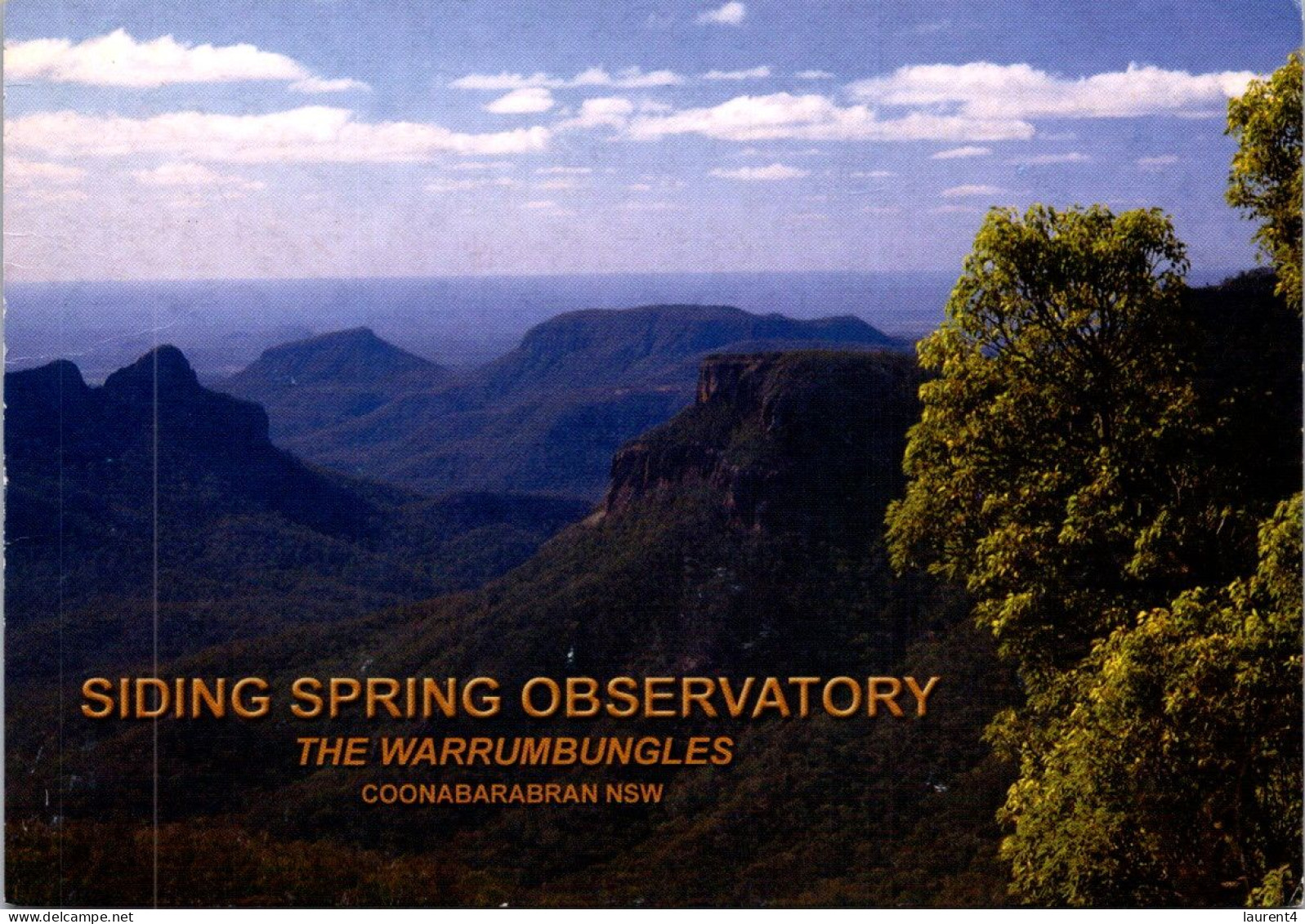 19-5-2024 (5 Z 31) Australia - NSW - Warrumbungle Natioanl Park (& Observatory) 2 Postcards - Bäume