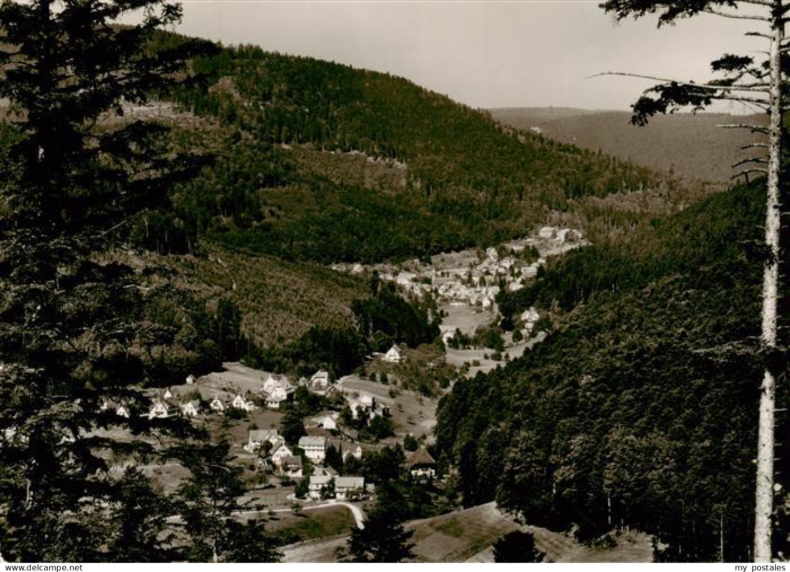 73947066 Bad_Herrenalb Panorama Gaistal Schwarzwald - Bad Herrenalb