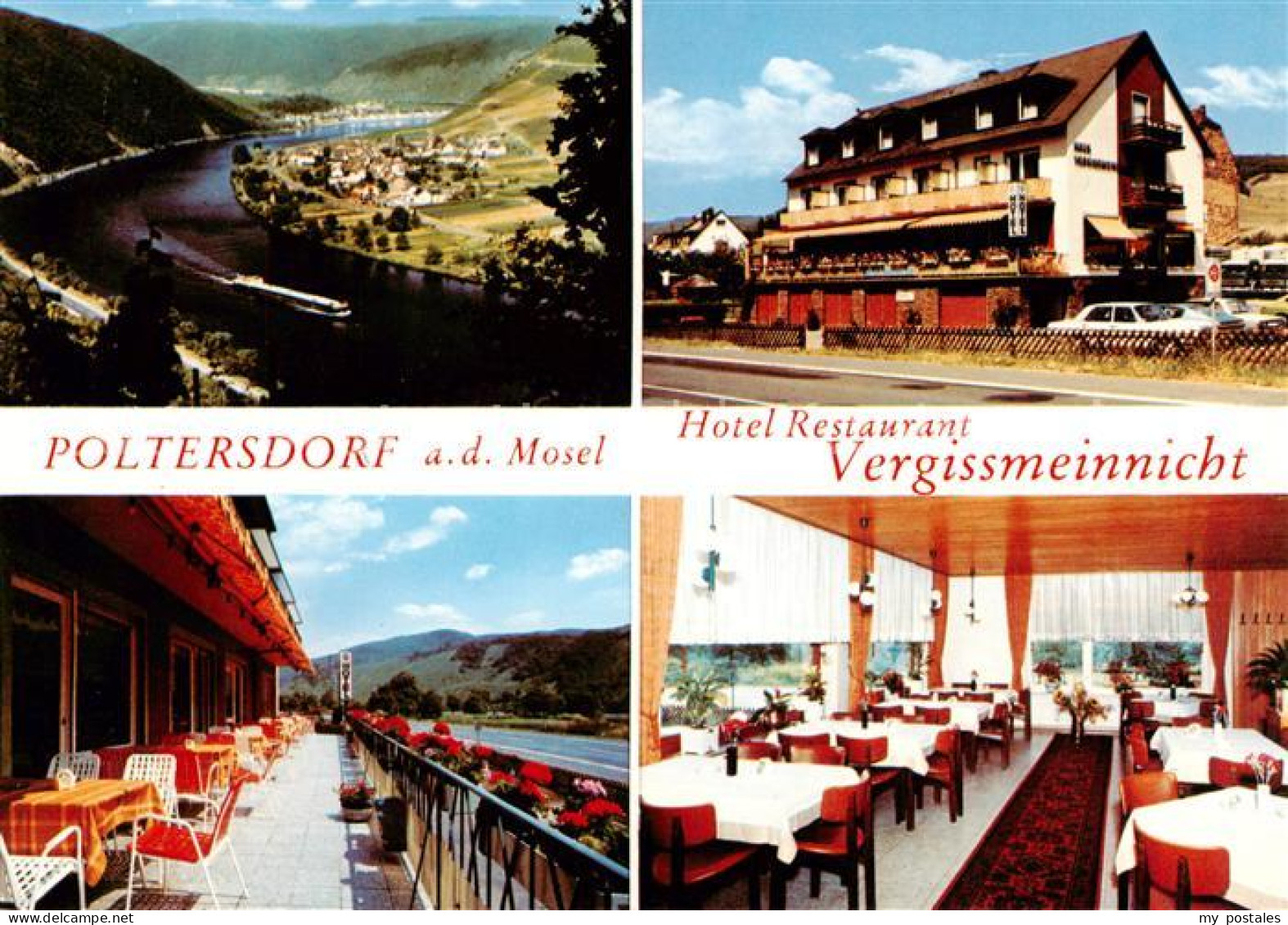 73866818 Poltersdorf Mosel Hotel Restaurant Vergissmeinnicht Panorama Moseltal  - Autres & Non Classés