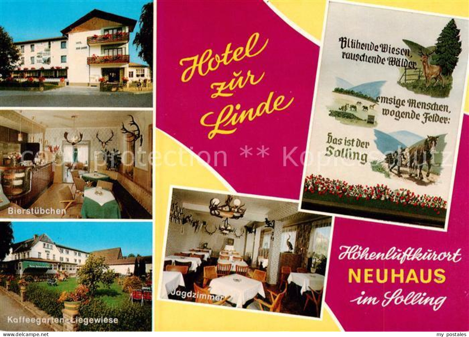 73866779 Neuhaus Solling Hotel Zur Linde Bierstuebchen Kaffeegarten Liegewiese J - Holzminden