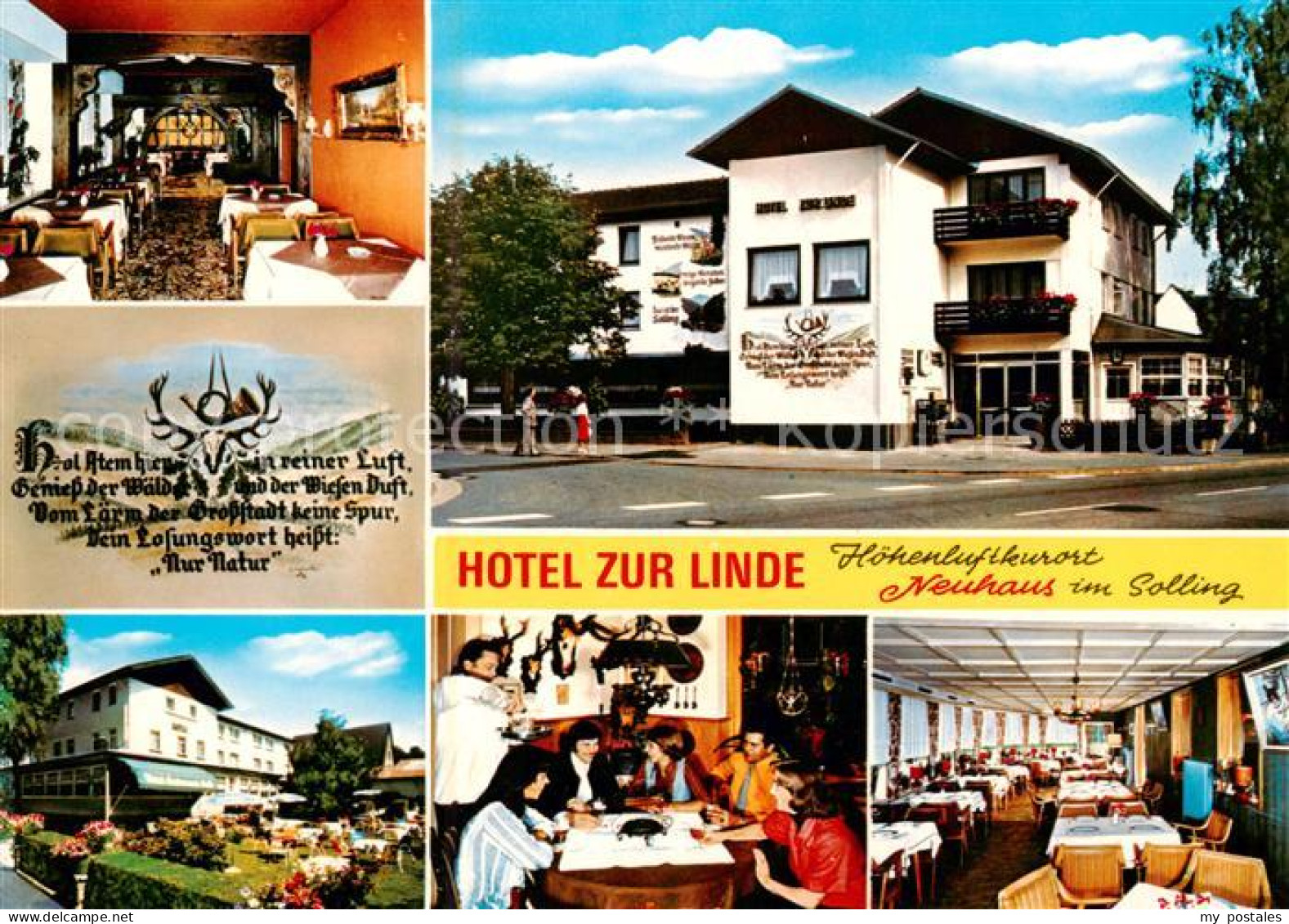 73866778 Neuhaus Solling Hotel Zur Linde Gastraeume Terrasse Neuhaus Solling - Holzminden
