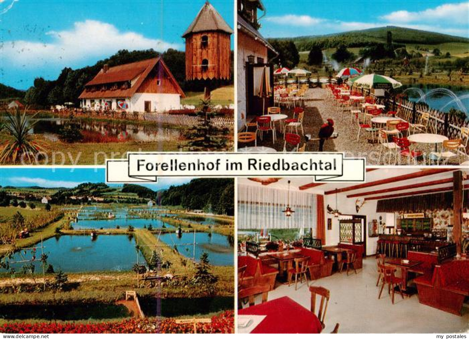 73866755 Bad Sooden-Allendorf Forellenhof Im Riedbachtal Gaststaette Fischteiche - Bad Sooden-Allendorf