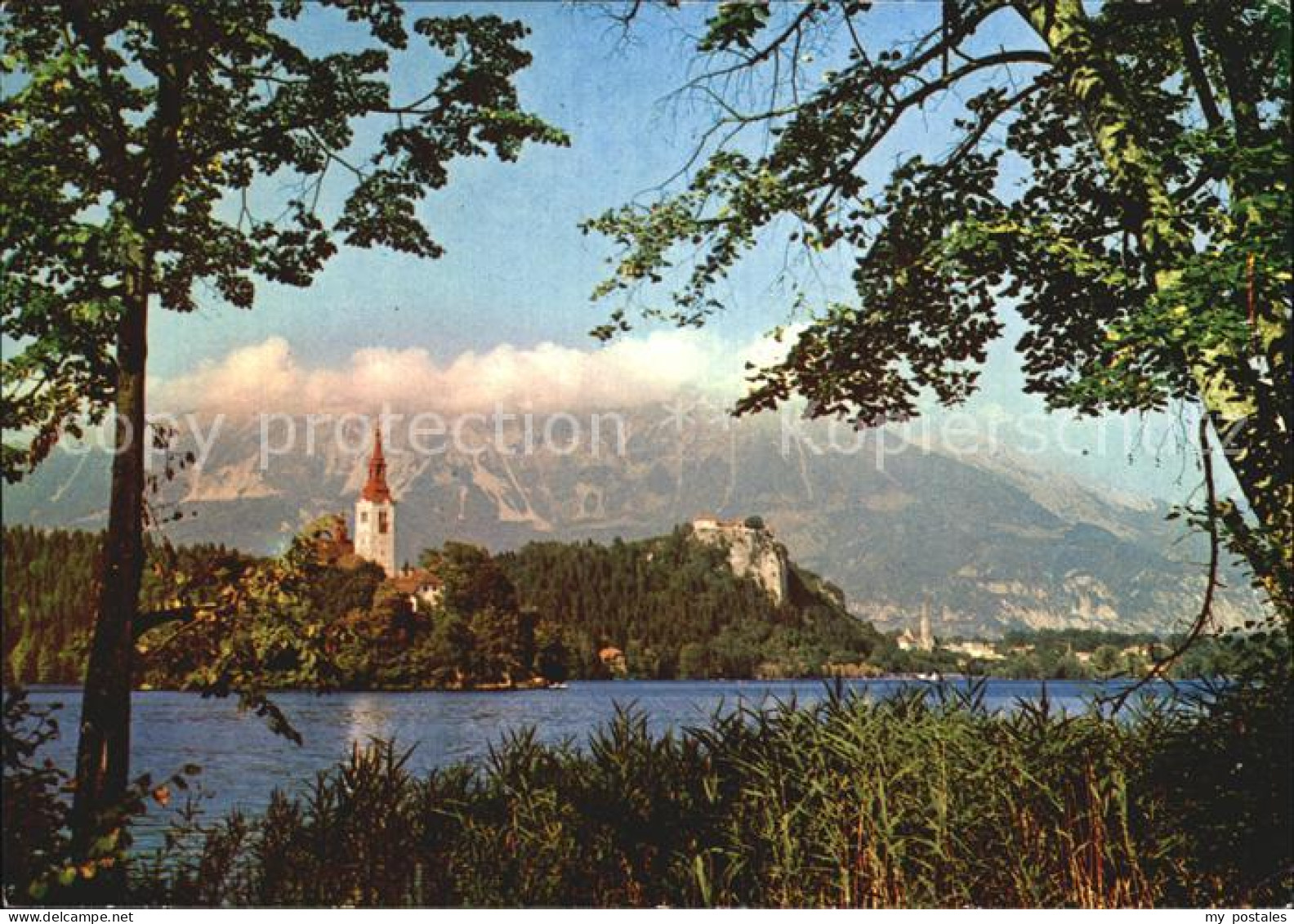 72566746 Bled Partie Am See Mit Kirche Slovenia - Slovenië