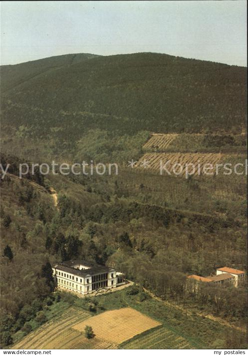 72566423 Edenkoben Fliegeraufnahme Schloss Villa Ludwigshoehe Edenkoben - Edenkoben