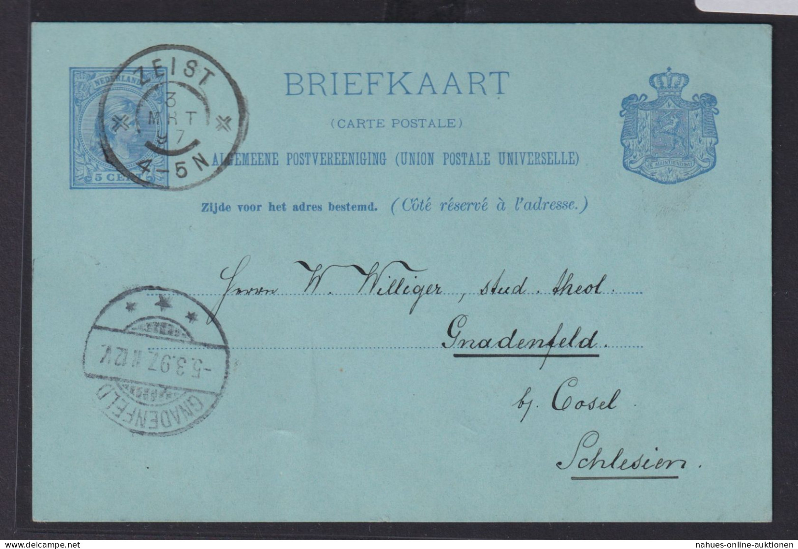 Niederlande Ganzsache 5c Königin Wilhelmina Zeist Gnadenfeld Bei Cosel Schlesien - Lettres & Documents