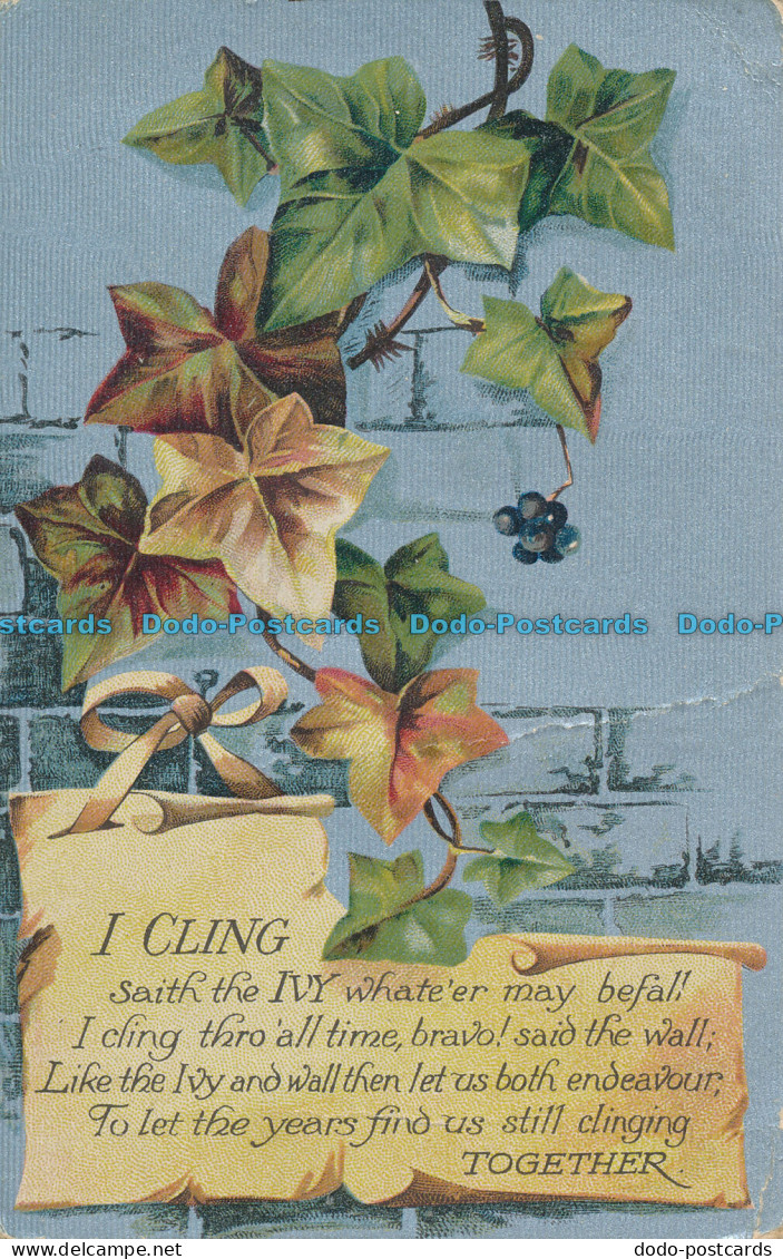R006513 I Cling. Grapes And Leaves. B. B. London - Autres & Non Classés