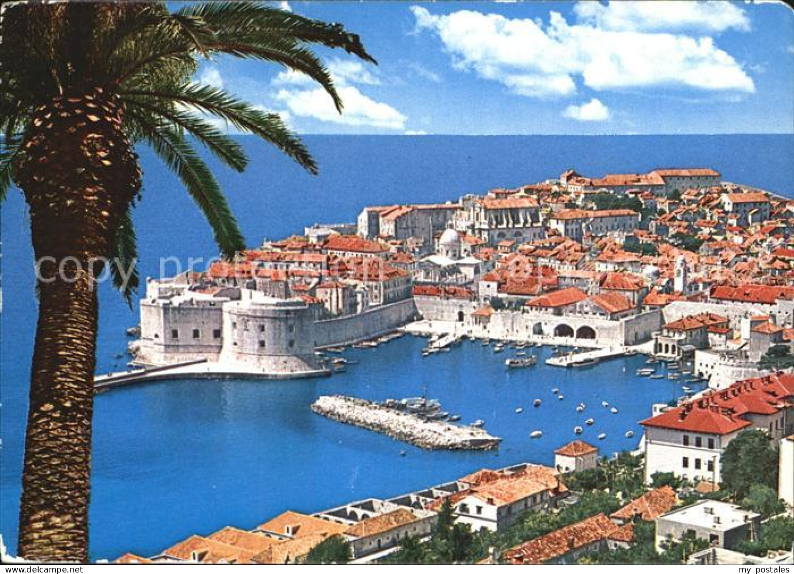 72564552 Dubrovnik Ragusa Panorama Croatia - Croatia