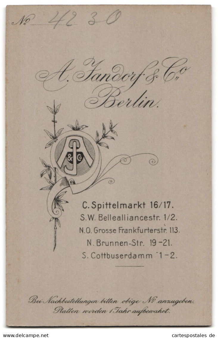 Fotografie A. Jandorf & Co., Berlin, Spittelmarkt 16 /17, Dame Mit Hoher Stirn Und Ohrschmuck Im Sonntagskleid  - Anonymous Persons