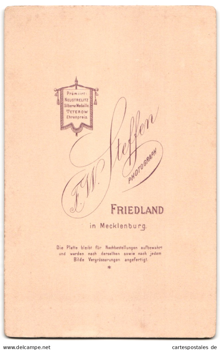Fotografie F. W. Steffen, Friedland I. Meckl., Bürgerliches Paar In Festlicher Kleidung  - Anonymous Persons