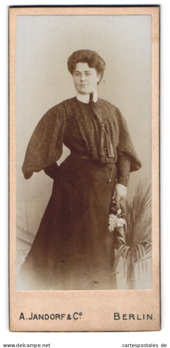 Fotografie A. Jandorf & Co., Berlin, Junge Dame Mit Blütenzweig  - Anonymous Persons