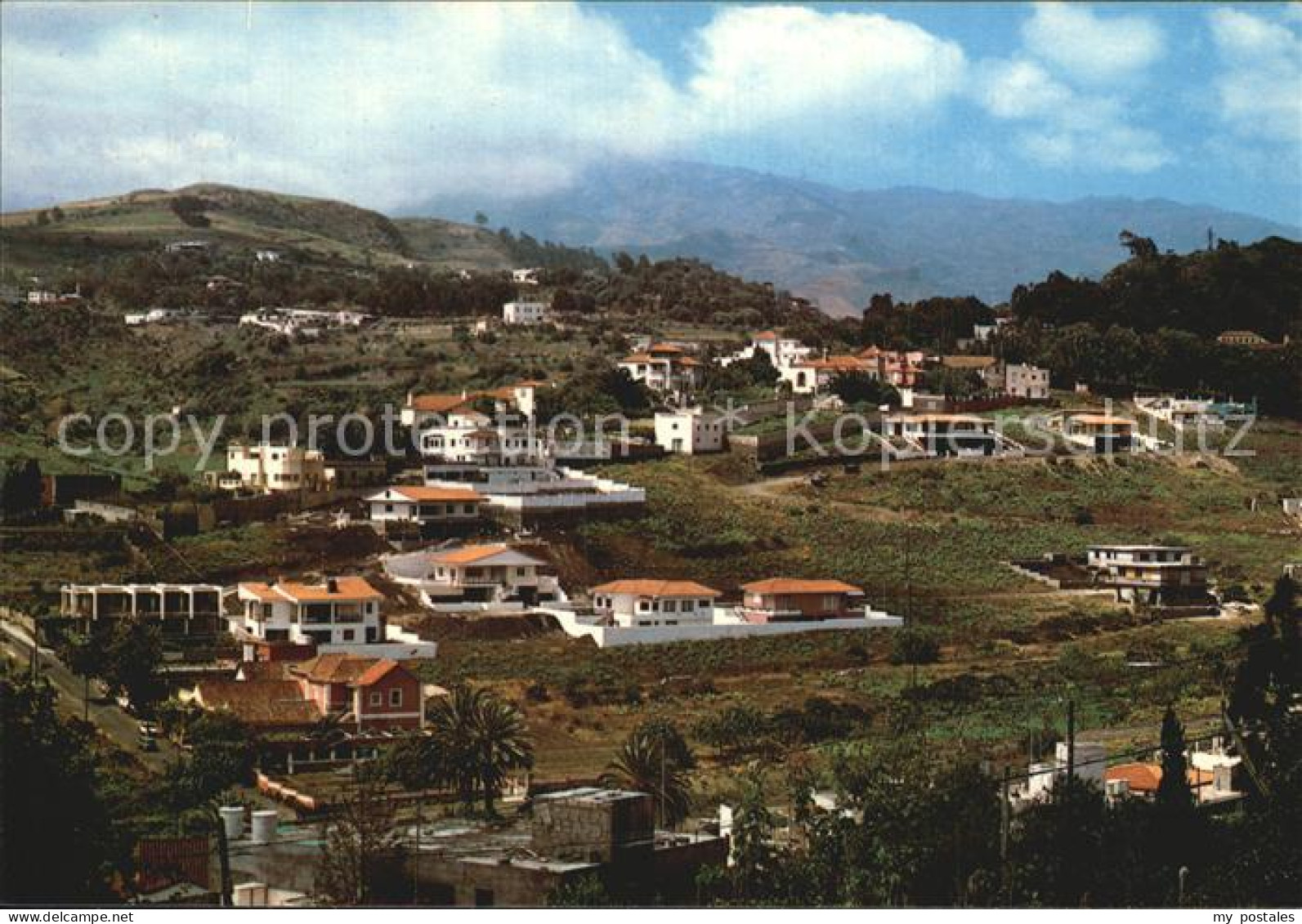 72564339 Gran Canaria Monte Coello Spanien - Autres & Non Classés