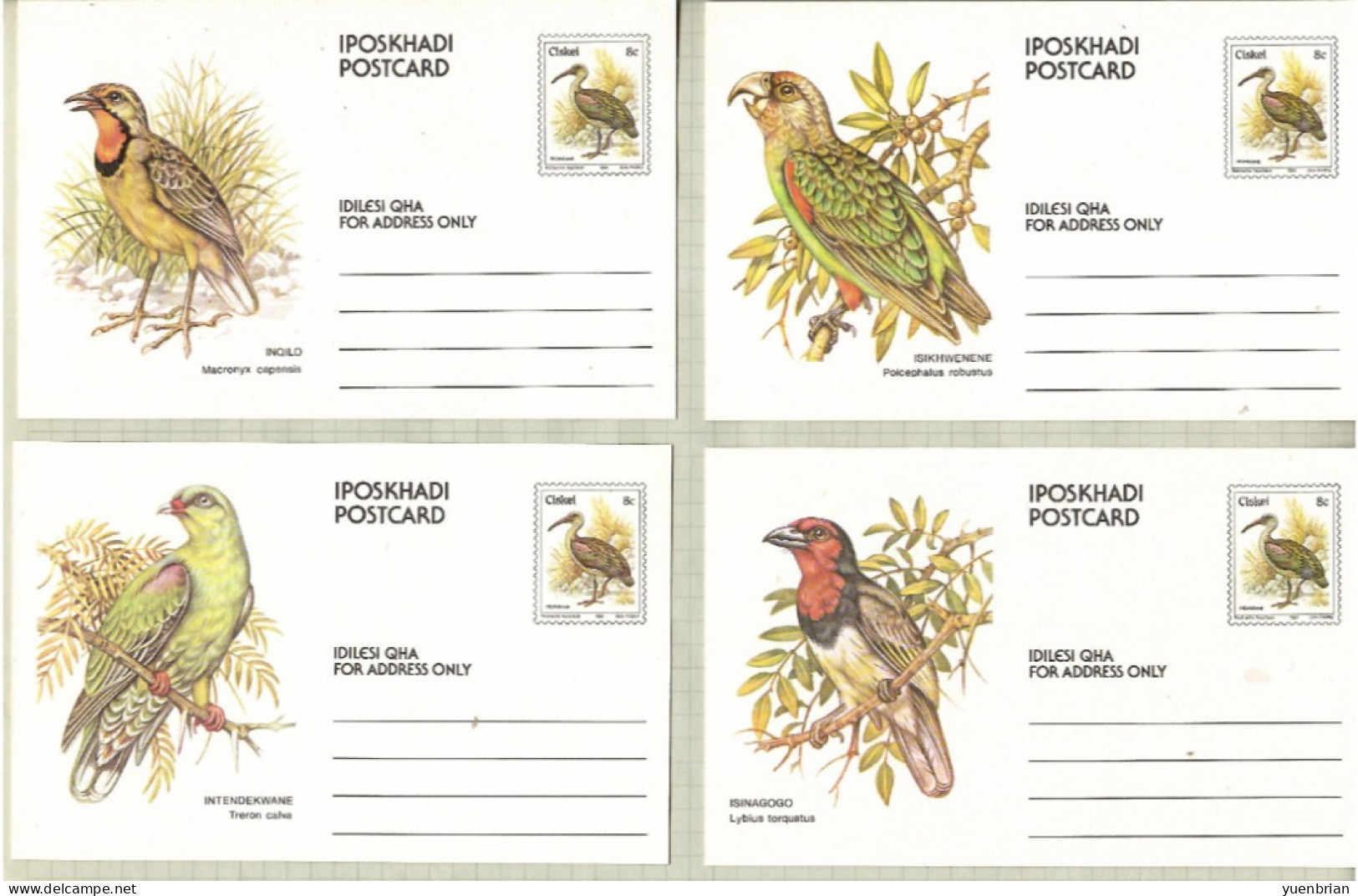 Ciskei 1981, Bird, Birds, Postal Stationery, Eagle, Parrot, Set Of 10v, Pre-Stamped Post Card, MNH** - Adler & Greifvögel