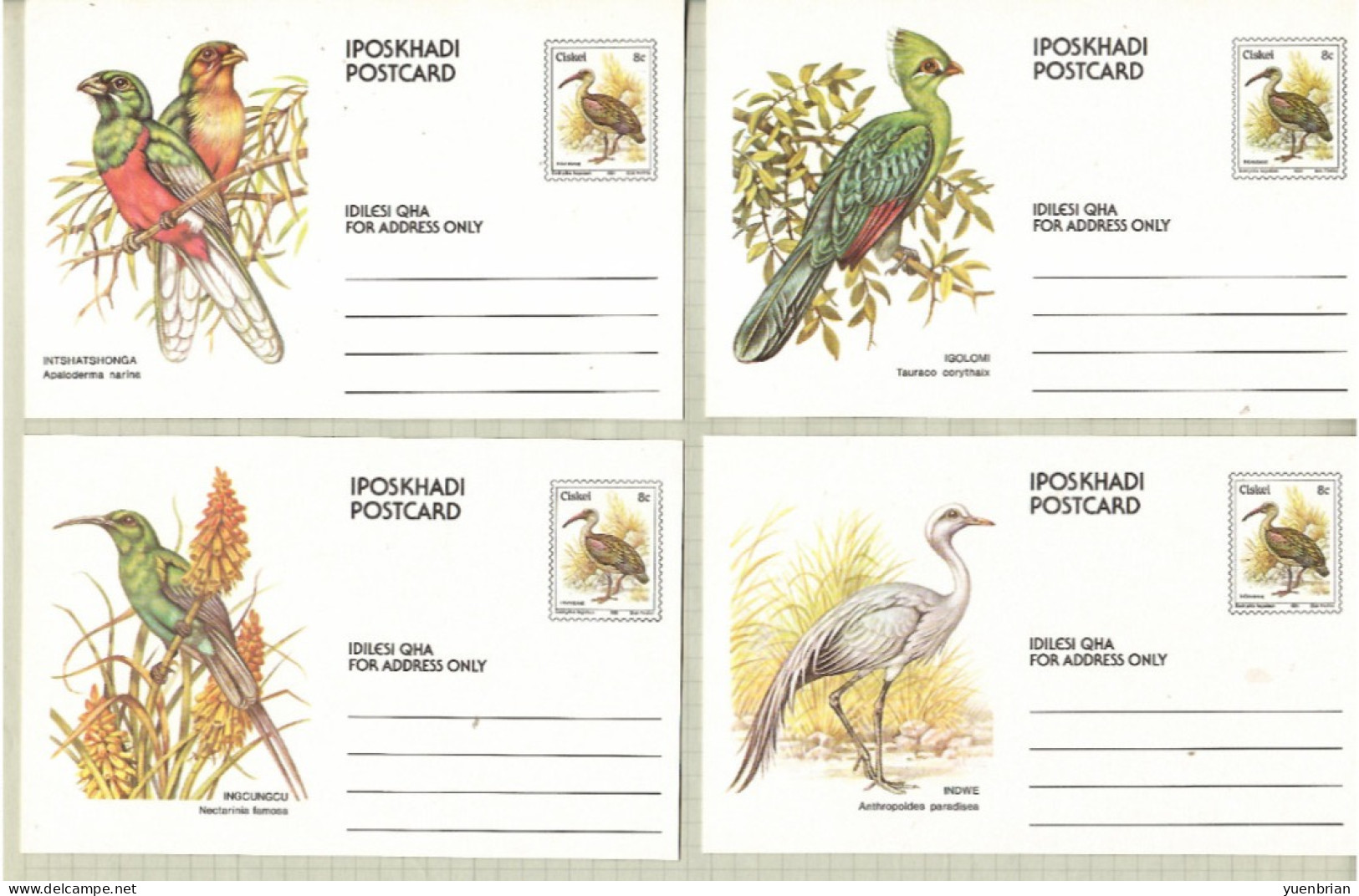 Ciskei 1981, Bird, Birds, Postal Stationery, Eagle, Parrot, Set Of 10v, Pre-Stamped Post Card, MNH** - Eagles & Birds Of Prey