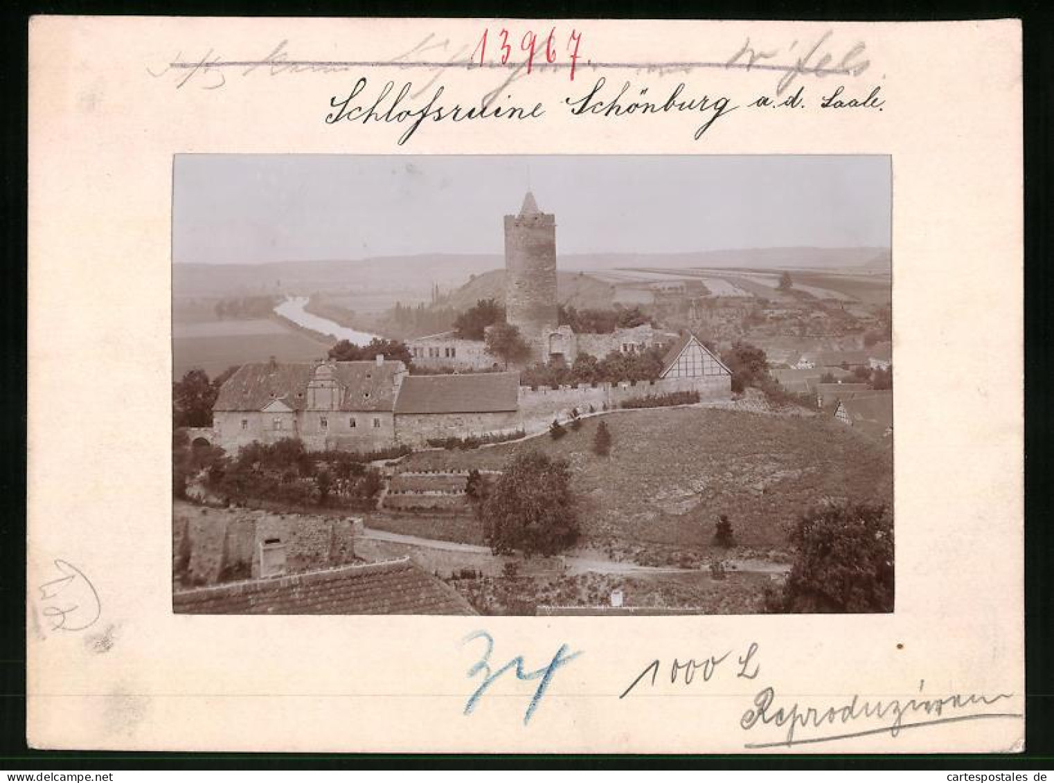 Fotografie Brück & Sohn Meissen, Ansicht Schönburg A. D. Saale, Blick Auf Die Schlossruine Mit Umgebung  - Lieux