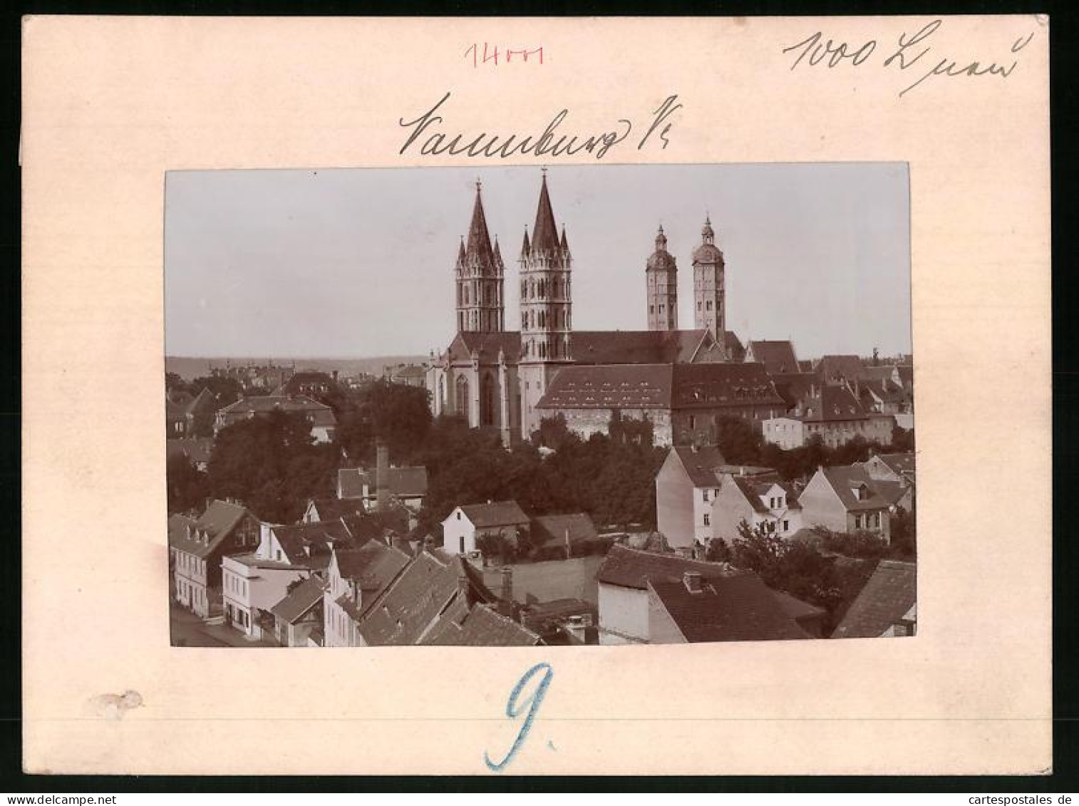 Fotografie Brück & Sohn Meissen, Ansicht Naumburg A. Saale, Blick über Die Dächer Auf Die Stadtkirche  - Lieux