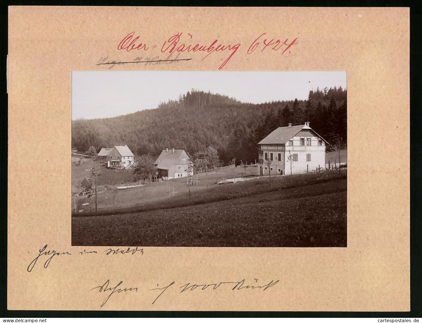 Fotografie Brück & Sohn Meissen, Ansicht Oberbärenburg, Partie Bei Hagen Im Wald, Haus Bergheimat  - Lieux
