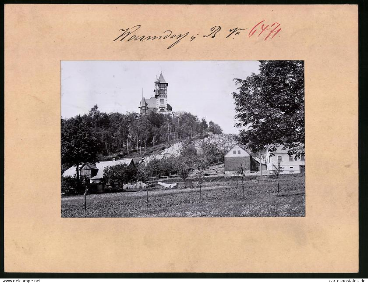Fotografie Brück & Sohn Meissen, Ansicht Warnsdorf I. B., Partie An Der Burgbergwarte  - Lieux